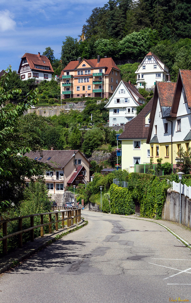 In Triberg stehen die Häuser nicht nebeneinander ...