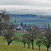 Benken ZH 2.01.22 / Blick auf die Alpen