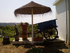 Replicas of carts and wheel-barrow.