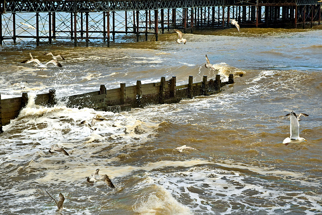 Cromer ~ Norfolk