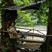 Bulgaria, The Park of Bachinovo in Blagoevgrad, Observing the River of Bistritsa from a Bench in a Shelter