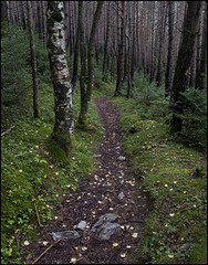 El vent escampa