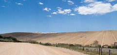 Tyrone Mine, NM reclamation (# 0790)