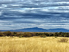 The Rincon Mountains