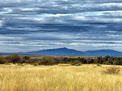 The Rincon Mountains