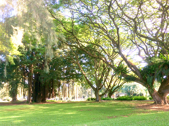 Liliuokalani Gardens