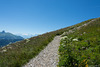 auf dem Rochers-de-Naye (© Buelipix)