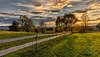 Fenced sunset ++ gezäunter Sonnenuntergang - Warngau