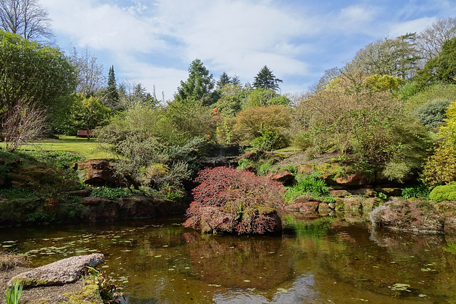 The Rock Garden