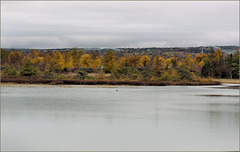 A grey day but there's still lots of colour around. A grey day but there's still lots of colour around.