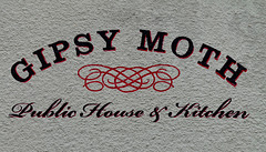 'Gipsy Moth'