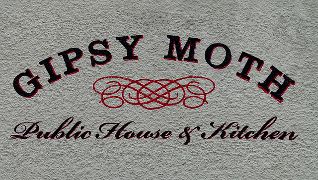 'Gipsy Moth'