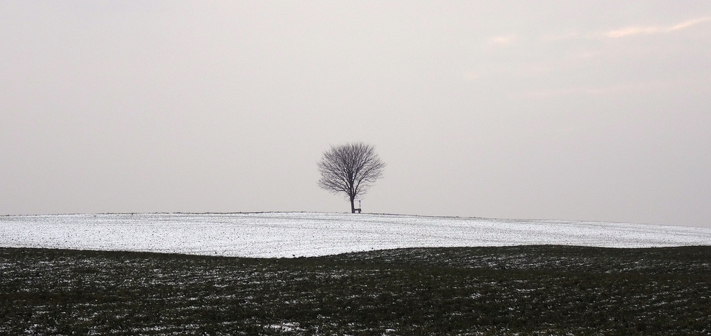 The One Tree Hill of Kemmental