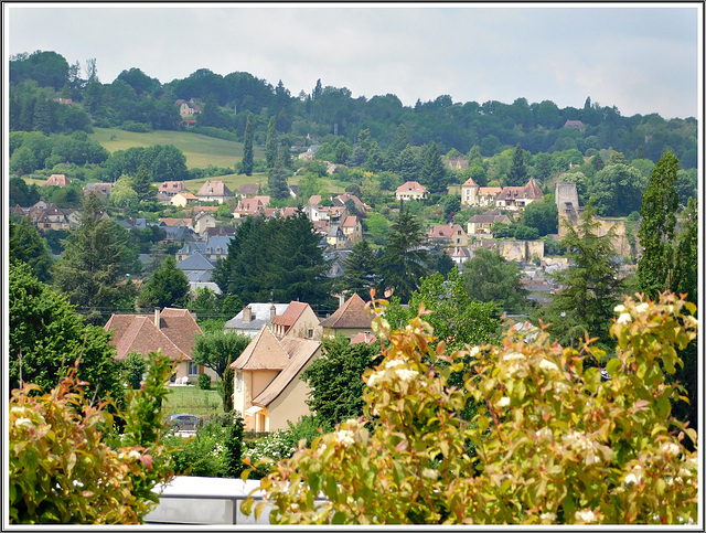 Vue depuis le toit du centre international pariétal (Lascaux 4) (24)