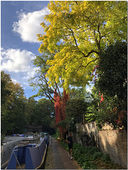 The Regents Canal, Islington