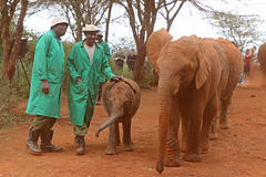 The keepers watch after their newest charge