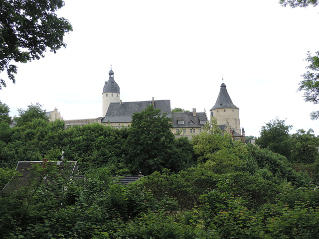 Altenburg - Blick auf das Schloss