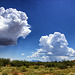 Growing Rain Clouds