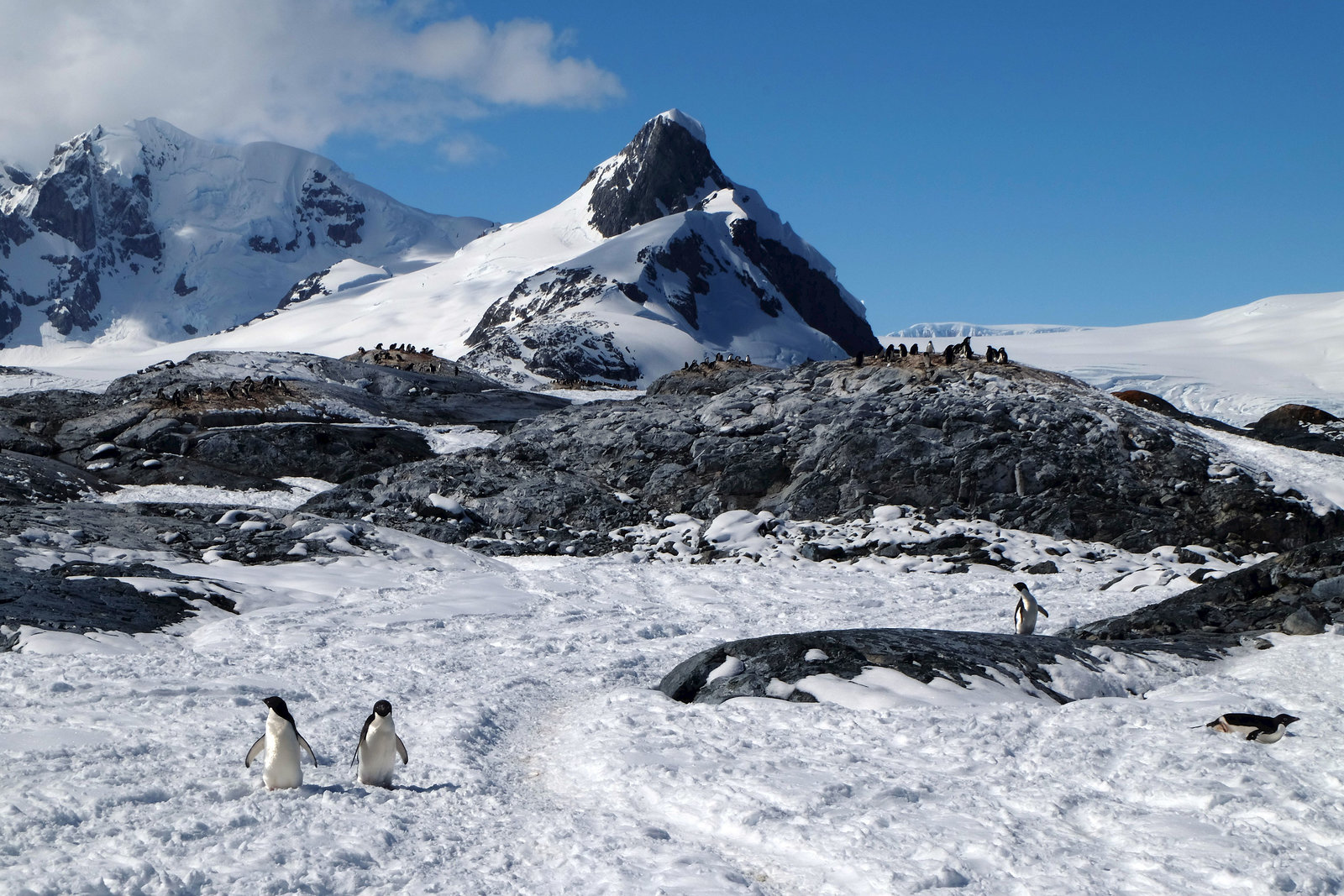 ANTARCTICA