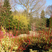 The Winter garden Cambridge Botanic Garden