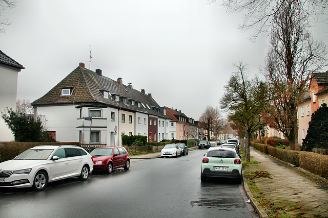 Am Beisenkamp (Wattenscheid-Günnigfeld) / 18.12.2021