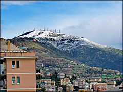19.01.2023 - finalmente la neve sulle alture di Genova
