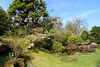 The Rock Garden