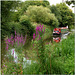 Kennet & Avon Canal