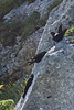 auf dem Rochers-de-Naye (© Buelipix)