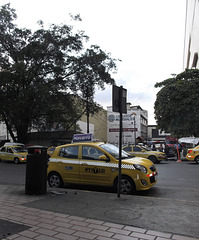 PY Taxi (2)