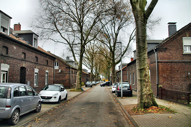 Dammstraße (Siedlung Dunkelschlag, Oberhausen-Sterkrade) / 20.11.2021