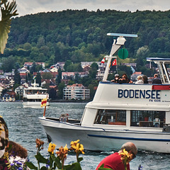 Bodensee - Bodensee