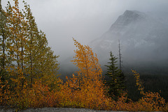 Kootenay national Park