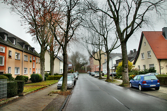 Sommerdellenstraße (Wattenscheid-Günnigfeld) / 18.12.2021