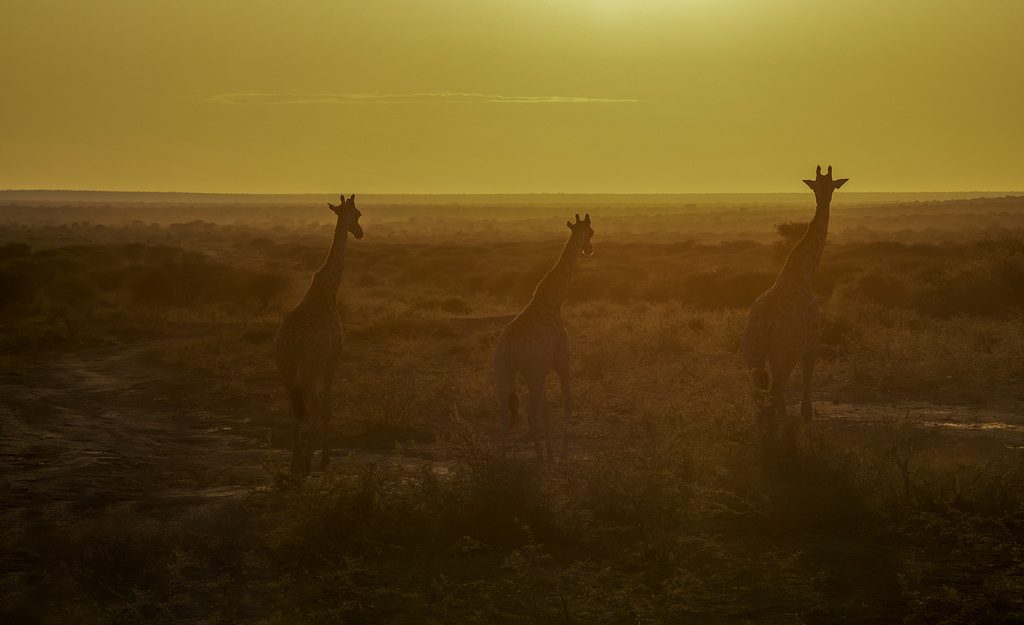 Namibia