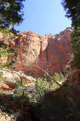 Taylor Creek Canyon