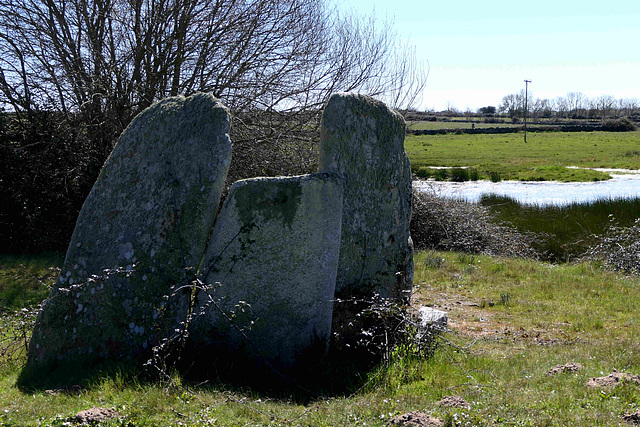 Lumbrales - Dolmen of La Navalito