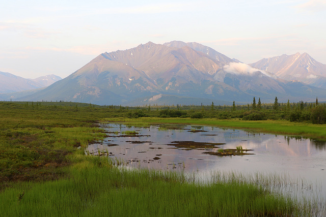 Morning along the Denali Highway