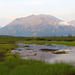 Morning along the Denali Highway