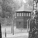 Auschwitz (13) - 19 September 2015