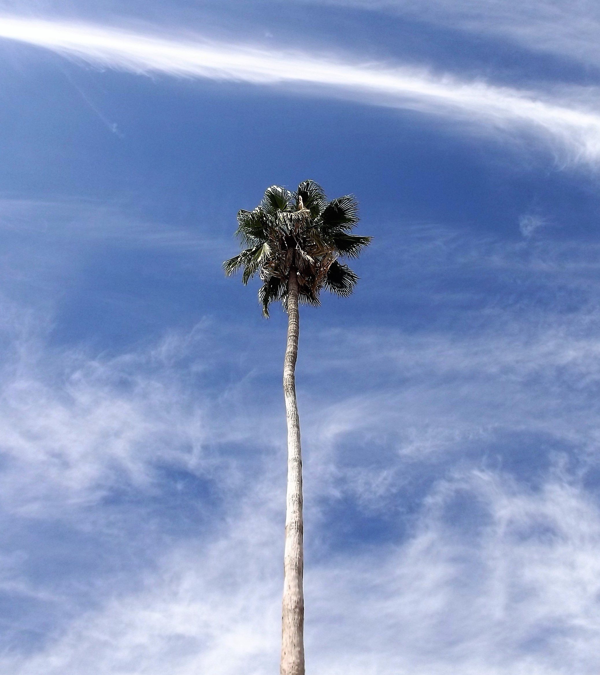 Époussetage céleste / Sky dusting