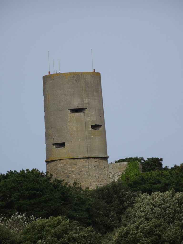wg (1107)