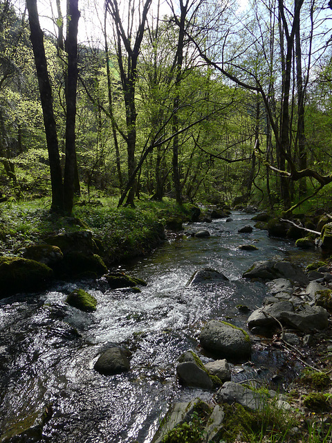 20220501 Rando Le Tayrac (Cevennes) (134)