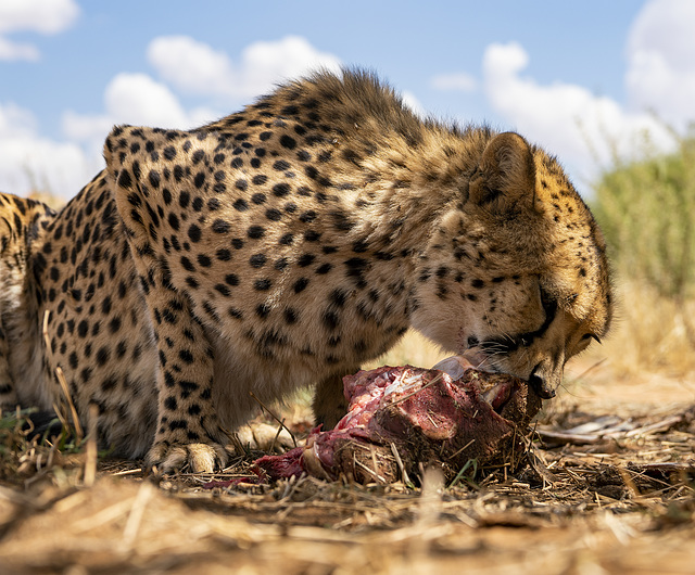 Namibia