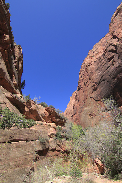 Taylor Creek Canyon