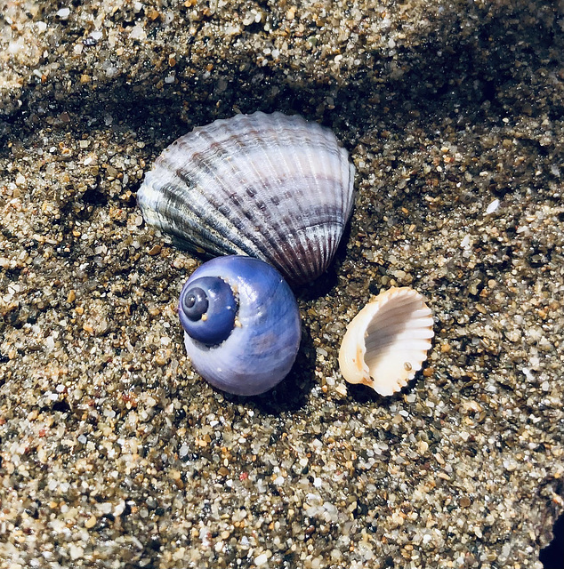 "Do not dwell in the past, do not dream of the future, concentrate the mind on the present moment." Buddha