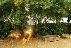 Mogadouro, Portugal HWW