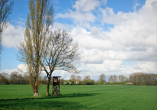 Hamburger Hochsitz