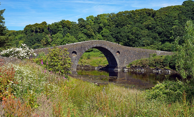 #24 - Ecobird - Bridge Over the Atlantic -24̊ 2points