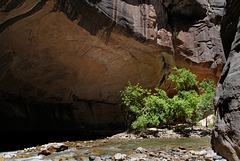 Zion Nat Park, The Narrows L1010681